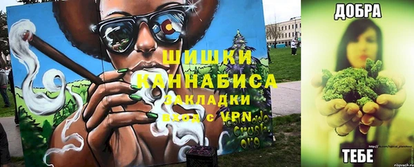 молекула духа Покров