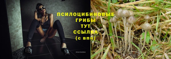 эйфоретик Кохма