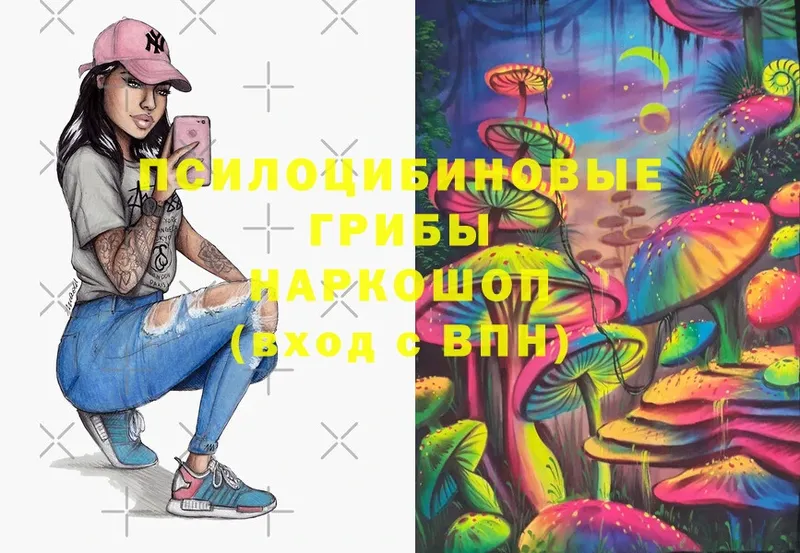 Галлюциногенные грибы Psilocybe Тара