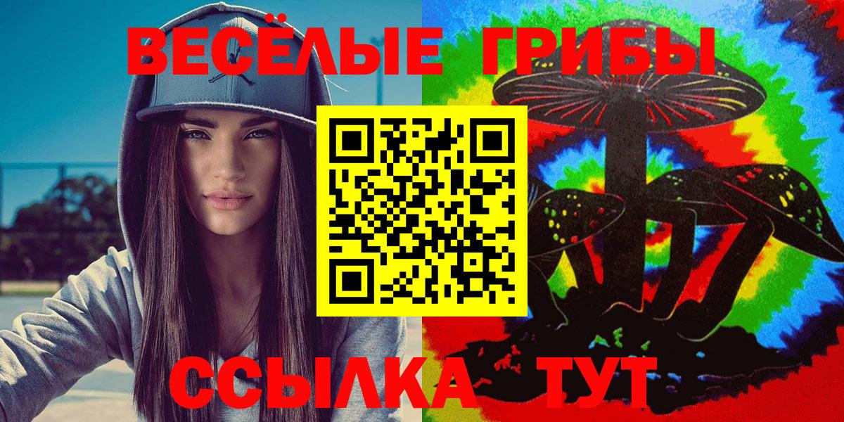 Галлюциногенные грибы Psilocybine cubensis Тара