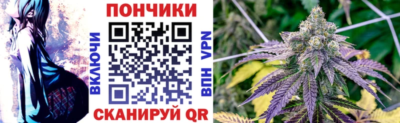 Бошки Шишки гибрид  что такое   Тара 
